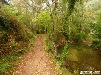 Hoces Río Duratón-Sepúlveda; excursiones madrid viajes semana santa ruta cares montaña palentina